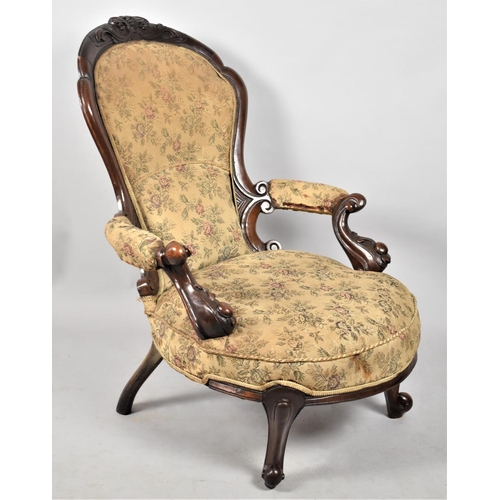 676 - A Late Victorian Mahogany Framed Tapestry Upholstered Balloon Back Ladies Nursing Armchair