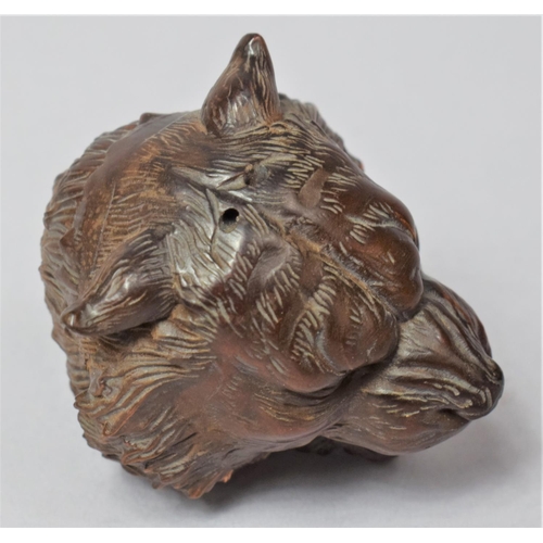 256 - A Finely Carved Hardwood Netsuke In the Form of a Snarling Tigers Head. Approx. 5cm Tall.