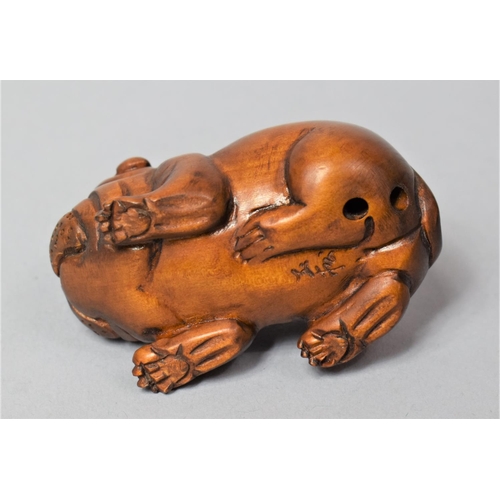 258 - A Nicely Carved Netsuke in the Form of a Bulldog, Signed, 5cm Long