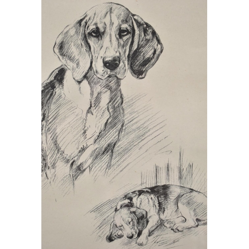 407 - A Pine Framed Print of a Foxhound, 15x21cm