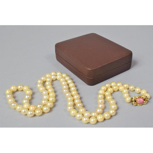 101 - A String of Cultured Pearls with an 18ct Gold Clasp Decorated with Pink Agate Stone, 32 Inches Long