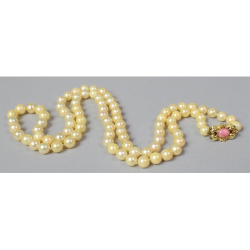 101 - A String of Cultured Pearls with an 18ct Gold Clasp Decorated with Pink Agate Stone, 32 Inches Long