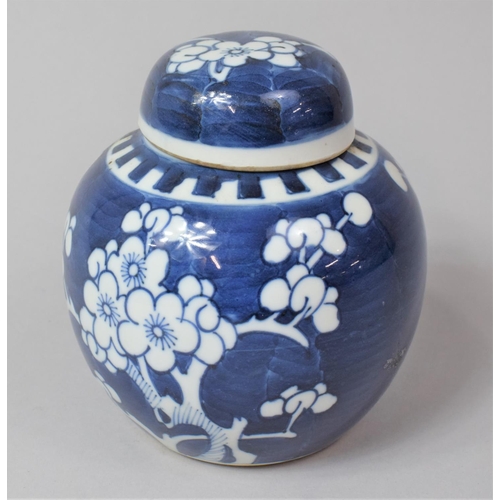 239 - A 20th Century Chinese Blue and White Prunus Pattern Ginger Jar, Double Circle Mark to Base, 12cm hi... 