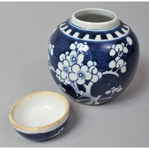 239 - A 20th Century Chinese Blue and White Prunus Pattern Ginger Jar, Double Circle Mark to Base, 12cm hi... 