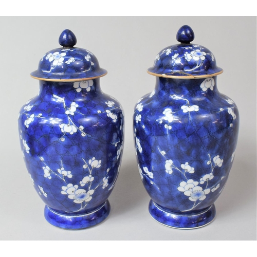 243 - A Pair of 19th Century Chinese Blue and White Prunus Pattern Lidded Vases of Balster Form, Various C... 