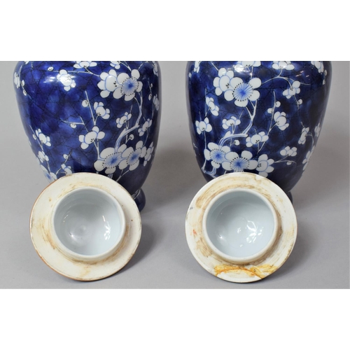 243 - A Pair of 19th Century Chinese Blue and White Prunus Pattern Lidded Vases of Balster Form, Various C... 