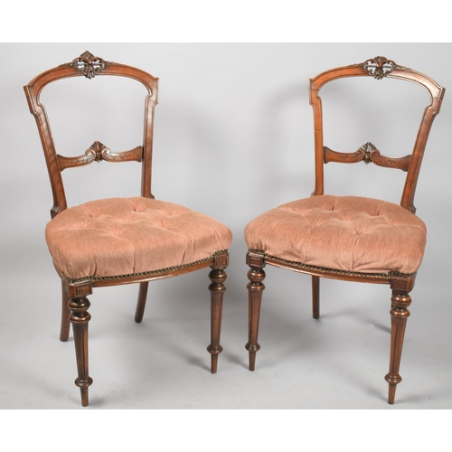 543 - A Pair of Edwardian Walnut Framed Ladies Salon Chairs, with Turned Reed Front Legs