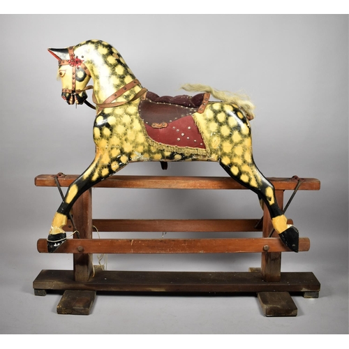 561 - An Edwardian Dapple Grey Rocking Horse of Large Size on H Frame, Requiring Mane and Tail, Padded Sad... 