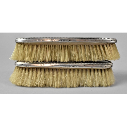 413 - A Pair of Silver and Tortoiseshell Dressing Table Brushes by Walker and Hall, 16.5cms Long