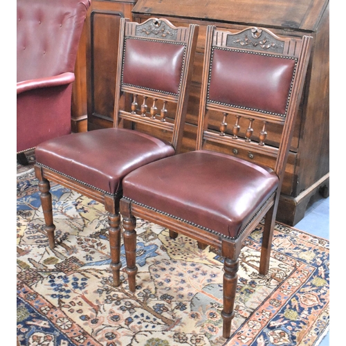 495 - A Pair of Hide Upholstered Edwardian Oak Framed Side Chairs