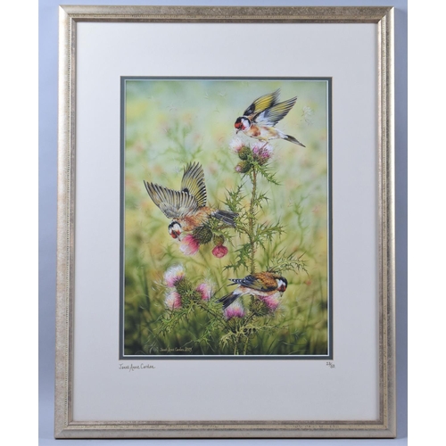 304 - A Framed Limited Janet Anne Carden Print, Goldfinches, 30x41cm