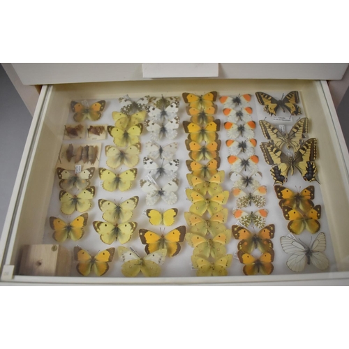 471 - A Ten Drawer Entomology Cabinet Containing Labeled Butterfly Specimens etc