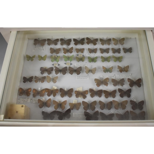 471 - A Ten Drawer Entomology Cabinet Containing Labeled Butterfly Specimens etc