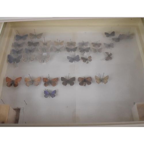 471 - A Ten Drawer Entomology Cabinet Containing Labeled Butterfly Specimens etc