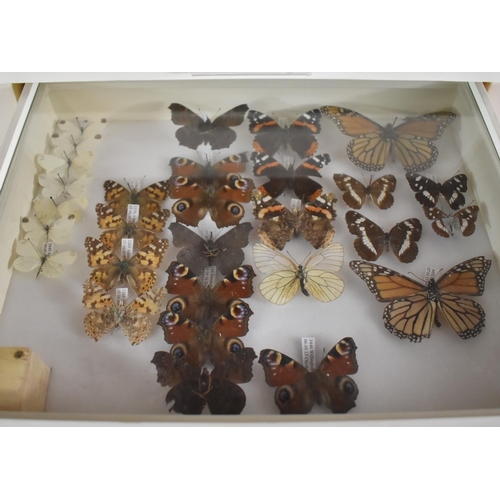 471 - A Ten Drawer Entomology Cabinet Containing Labeled Butterfly Specimens etc