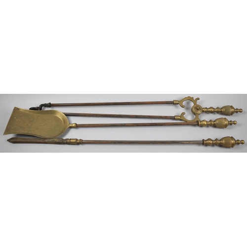 108 - A Set of Three Brass Mounted Long Handled Fire Irons, the Poker 71cm Long