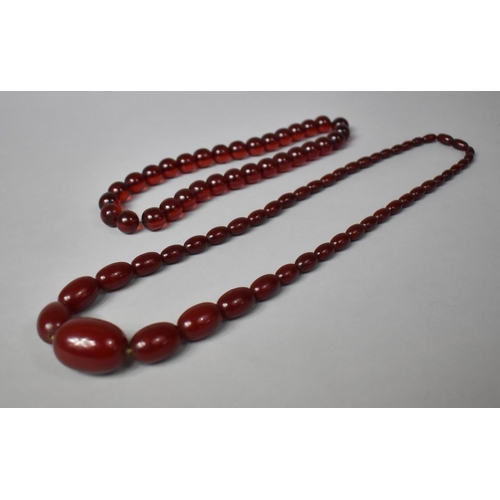 241 - A Cherry Amber Necklace Together with another Example