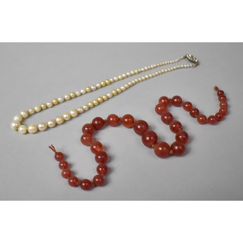 242 - A Graduated Pearl Necklace and a Graduated Amber Coloured Glass Necklace