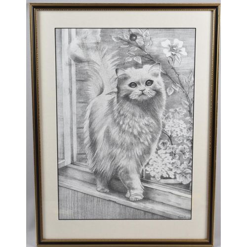 286 - A Framed Print of a Cat, 28x40cm