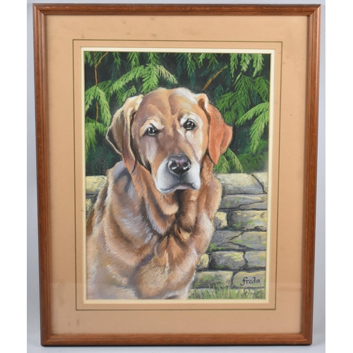 287 - A Framed Painting of Dog Freda, 36x26cm