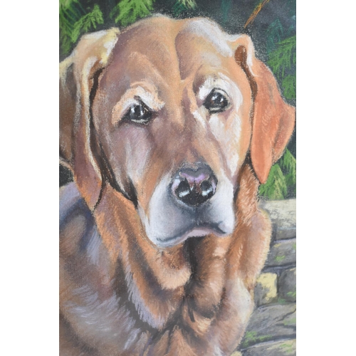 287 - A Framed Painting of Dog Freda, 36x26cm