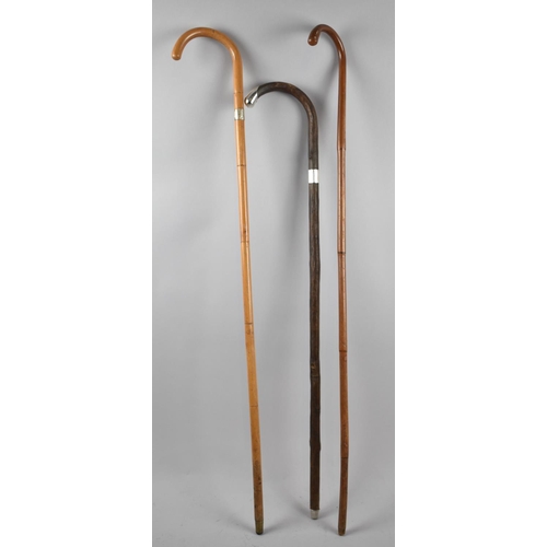 82 - A Collection of Three Vintage Walking Sticks, Two with Silver Band Hallmarked Birmingham 1911