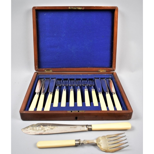 96 - An Edwardian Mahogany Cased Set of Six Bone Handled Fish Knives and Forks Together with a Pair of Bo... 