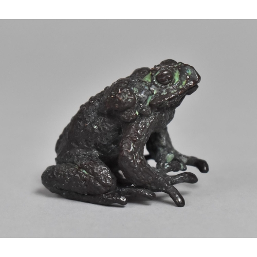 30 - A Small Bronze Study of Hooded Toad, 4cms High