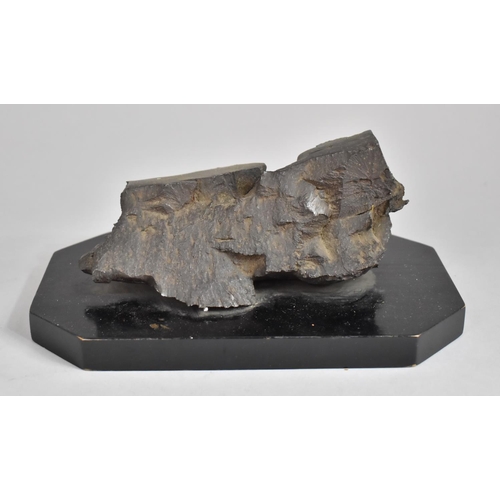 52 - A Desk Top Rock Specimen Mounted on Ebonised Plinth Base, 23.5cms Long