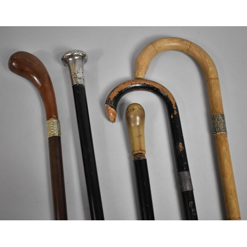 580 - A Collection of Various Walking Sticks to include Silver Mounted and Collared Example