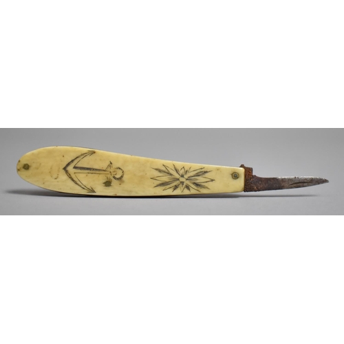 77 - A 19th Century Sailors Scrimshaw Penknife, Blade AF, Handle Measuring 7.5cms Long and with Engraved ... 