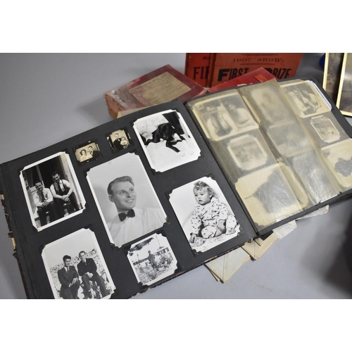 489 - A Collection of Various Glass Photographic Plates, 1904, 05 and 07 Oswestry First Prize Show Cards, ... 