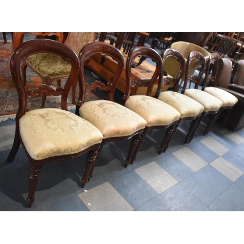 543 - A Set of Six Reproduction Mahogany Balloon Back Dining Chairs with Serpentine Fronts in the Victoria... 