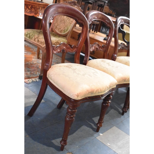 543 - A Set of Six Reproduction Mahogany Balloon Back Dining Chairs with Serpentine Fronts in the Victoria... 