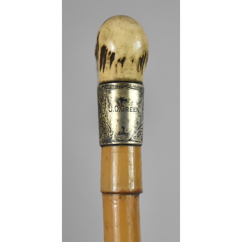 56 - A Victorian Silver Mounted Bone Handled Riding Crop, with Faux Bamboo Shaft, Hallmarked Birmingham 1... 