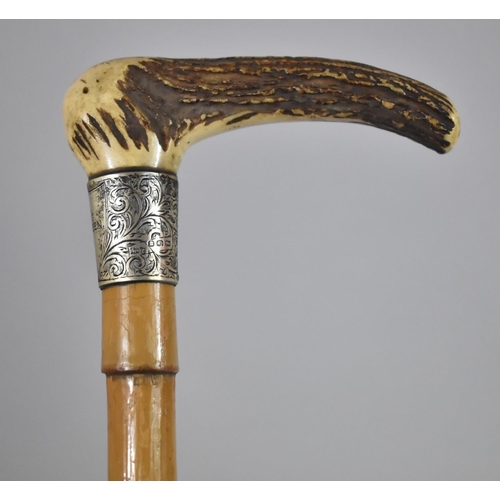 56 - A Victorian Silver Mounted Bone Handled Riding Crop, with Faux Bamboo Shaft, Hallmarked Birmingham 1... 