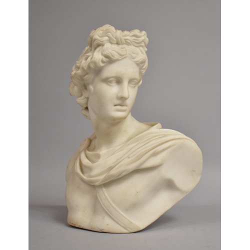 349 - A Parian Bust of Apollo Belvedere. 22cm High