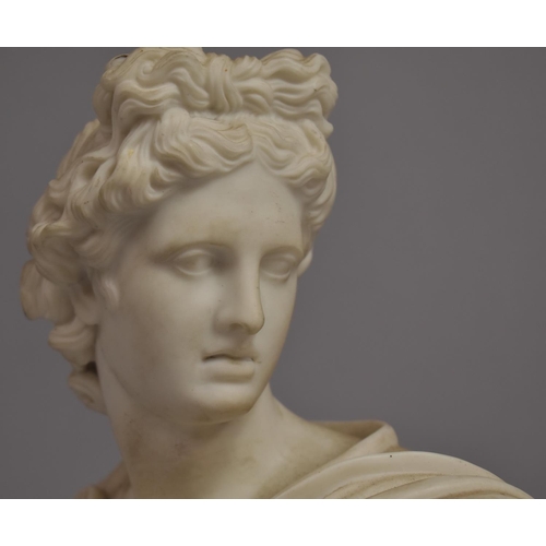 349 - A Parian Bust of Apollo Belvedere. 22cm High