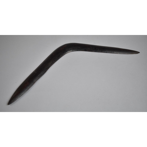 66 - An Archaic Australian Aboriginal Carved Wood Boomerang of Typical Form. 60x20cms