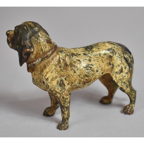 263 - A Late 19th/Early 20th Century Cold Painted Bronze Study of Dog in the Manner of Bergmann, 9cm Long,... 