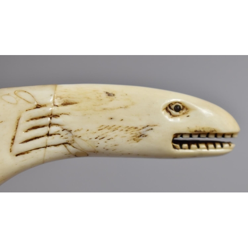 262 - A 19th Century Novelty Maring Ivory Captains Magnifying Glass Formed as Whale with Carved Details an... 