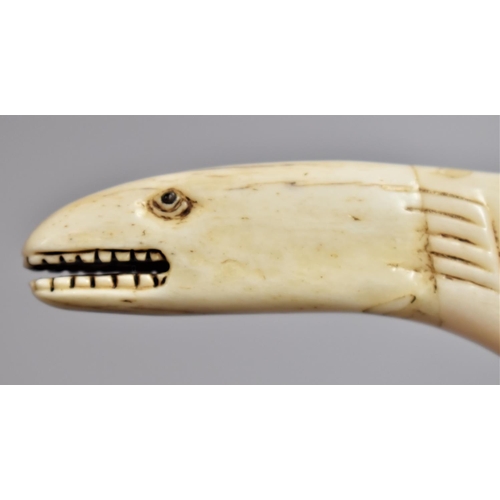 262 - A 19th Century Novelty Maring Ivory Captains Magnifying Glass Formed as Whale with Carved Details an... 