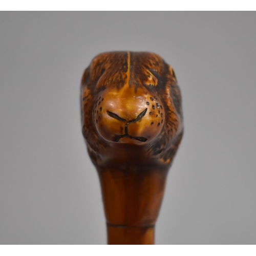 254 - A 20th Century Resin Novelty Cane Top/Walking Stick Handle in the form of a Hare, 9cms High