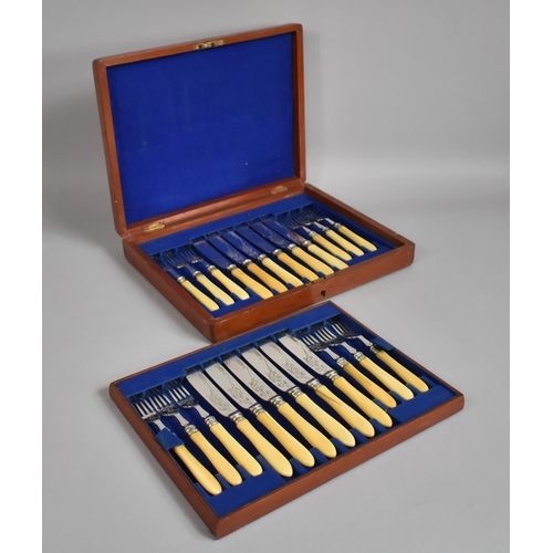 222 - A Mahogany Cased Set of 24 Fish Knives and Forks, 34x26x5cms