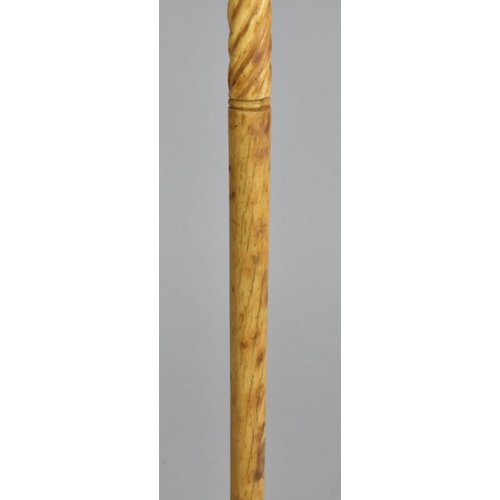 43 - A Late 18th/Early 19th Century Carved and Inlaid Whale Bone Sailor's Walking Cane having Centre Spir... 