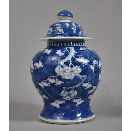 359 - A Chinese 19th Century Blue and White Baluster Vase and Cover, Prunus Pattern, Four Character Mark t... 