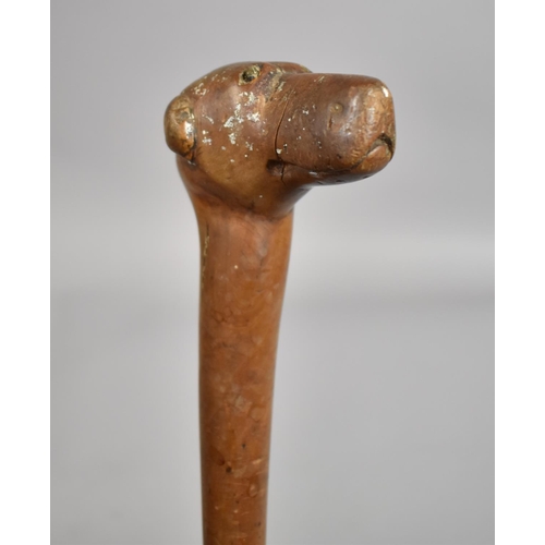 218 - A Late 19th/Early 20th century Carved Walking Stick with Carved Greyhound Handle. 81cms Long