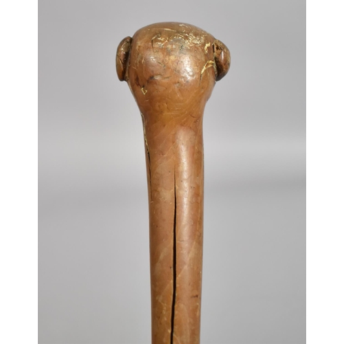 218 - A Late 19th/Early 20th century Carved Walking Stick with Carved Greyhound Handle. 81cms Long