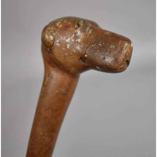 218 - A Late 19th/Early 20th century Carved Walking Stick with Carved Greyhound Handle. 81cms Long