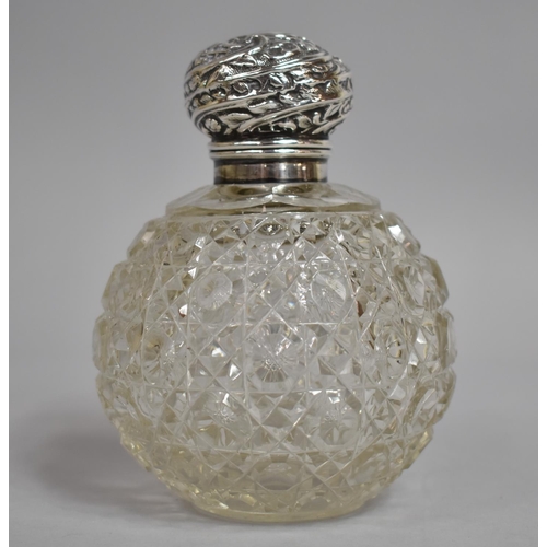 242 - A Silver Topped Globular Perfume Bottle with Inner Stopper, 11cms High